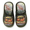 Παιδικές Παντόφλες Dinosaur 10126178